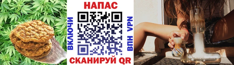 Купить где  Бобров  Cannafood конопля 