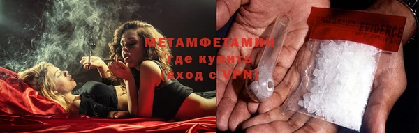 PSILOCYBIN Козловка