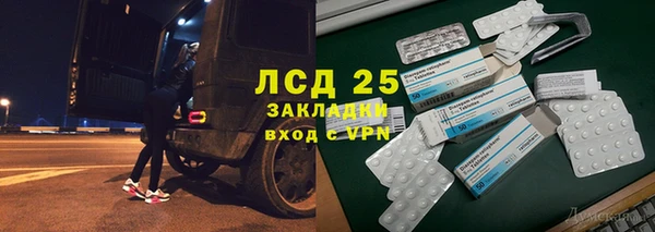 PSILOCYBIN Козловка
