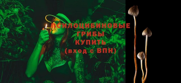 apvp Кодинск