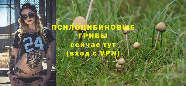 амфетамин Козельск