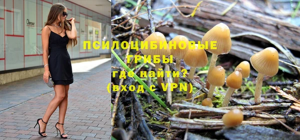 apvp Кодинск