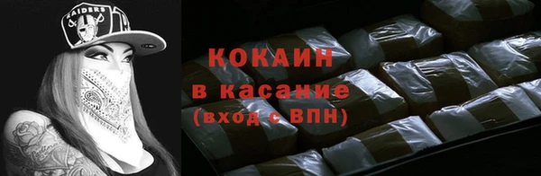 PSILOCYBIN Козловка