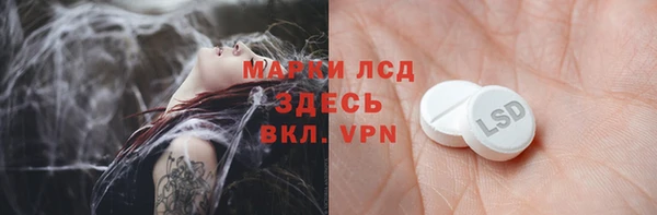 PSILOCYBIN Козловка