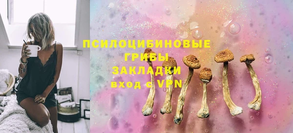 PSILOCYBIN Козловка