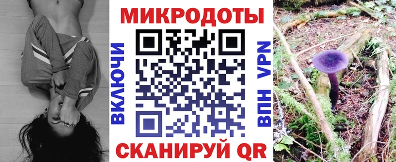 Купить закладки  Бобров  Галлюциногенные грибы GOLDEN TEACHER 